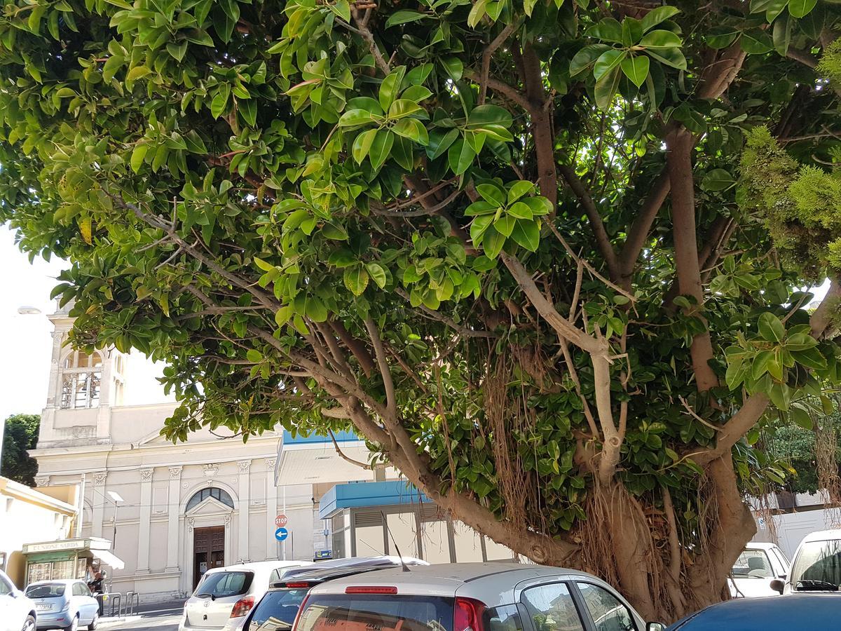 Da Agnese Locazioni Brevi Cagliari Exterior foto